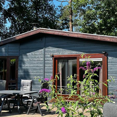 Dubbele Chalet Op Recreatiepark Topparken Op De Veluwe In Beekbergen Met Grote Vrije Tuin En Eigen Parkeerplaats Luaran gambar